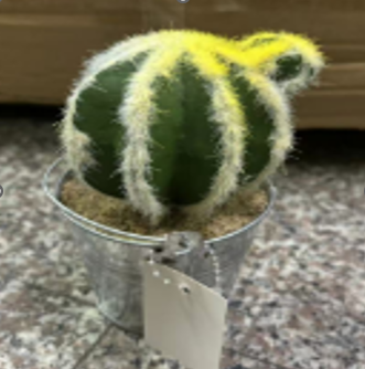 DSH. LULE ARTIFICIALE 716-22