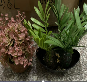 DSH. LULE ARTIFICIALE AND ITEM CODE DIFERENT 01. (65) 716-1