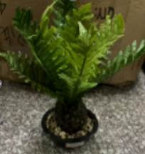 DSH. LULE ARTIFICIALE AND ITEM CODE DIFERENT. 03 (72) 716-3