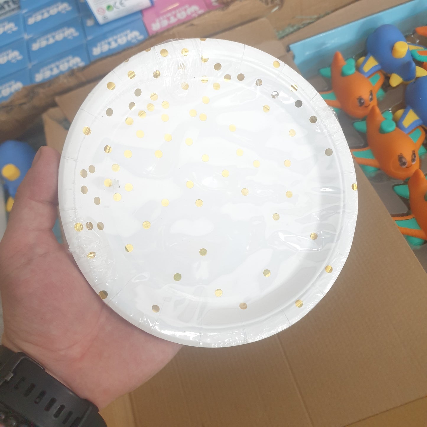 DF. PJATA LETRE 9" 10/1 C11631 300# 1630-39