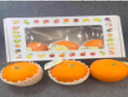 DSH. FRUTA DEKORATIV #6 (144) 912-1