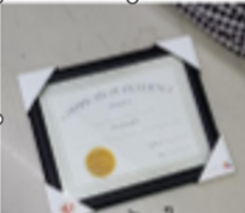 1 DSH. KORNIZ A4 (60) 1012-3