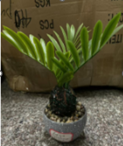 DSH.  LULE ARTIFICIALE AND ITEM CODE DIFERENT.  06 (72) 716-6